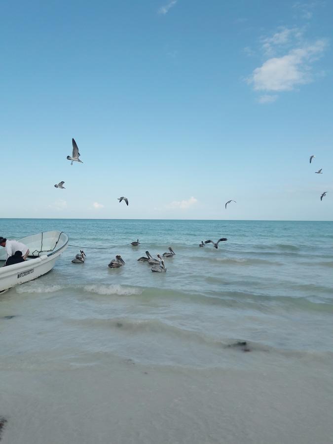 Hostel La Isla Holbox Ilha Holbox Exterior foto